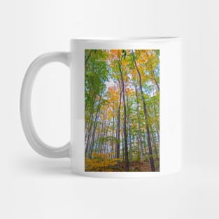 Autumn in the Tree Tops Mug